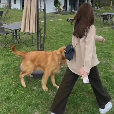 办公室之主